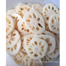 IQF Lotus Root Slice Frozen Vegetables